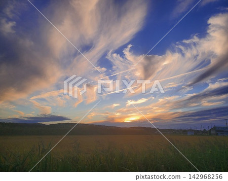 A sunset 142968256