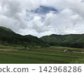 在陰雲密佈的天空下，綠油油的稻田和鄉村風景綿延展開。 142968286