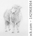 Sheep (diagonal) 142968364