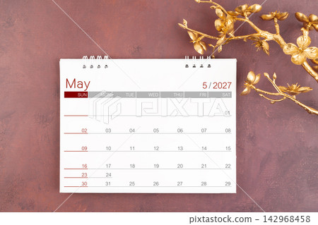 Desk calendar for May 2027 year with gold cherry blossoms branch. 142968458