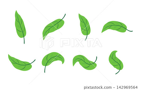 Set of hand drawn leaf illustrations isolated on white background 142969564