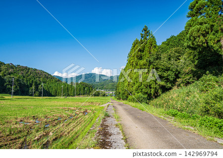 A tranquil rural landscape of Oku-Biwako, Yokonami area, Nishi-Asai-cho, Nagahama City, Shiga Prefecture A tranquil rural landscape of Oku-Biwako, Yokonami area, Nishi-Asai-cho, Nagahama City, Shiga Prefecture 142969794