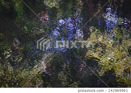 Green trees reflected on the water Green trees reflected on the water 142969961