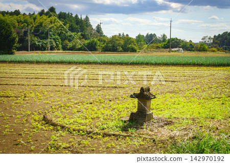 Shrines placed in fields 142970192