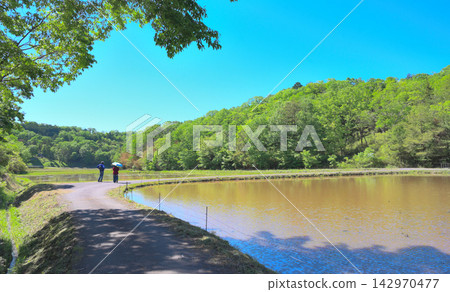 剛注滿水的稻田、山脈和鄉村健行步道-日本豐富的自然美景。 剛注滿水的稻田、山脈和鄉村健行步道-日本豐富的自然美景。 142970477