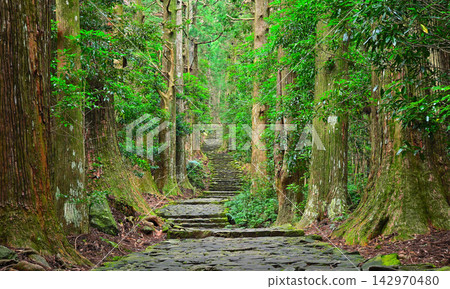 熊野古道的大門坂山坡,世界遺產,以及長滿青苔、古樹成蔭的石徑。 熊野古道的大門坂山坡,世界遺產,以及長滿青苔、古樹成蔭的石徑。 142970480