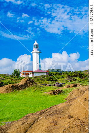 [千葉縣] 南房總國定公園、野島崎、野島崎燈塔 142970601