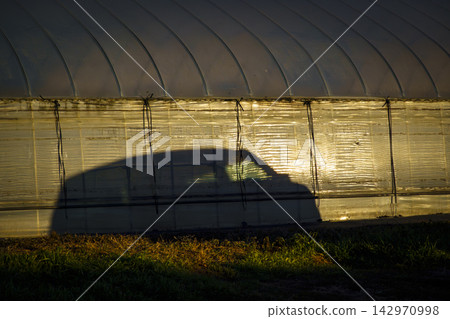 Shadow of a car cast on a farm greenhouse Shadow of a car cast on a farm greenhouse 142970998