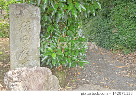 岩槻週邊散步:地標建築交心塔 岩槻週邊散步:地標建築交心塔 142971133