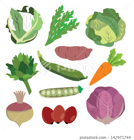 Vegetables set. Vegetarian food. Vector illustration in flat style. Vegetables set. Vegetarian food. Vector illustration in flat style. 142971744