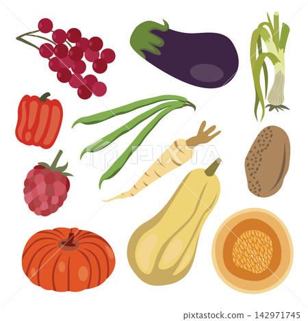 Vegetables set. Vegetarian food. Vector illustration in flat style. Vegetables set. Vegetarian food. Vector illustration in flat style. 142971745