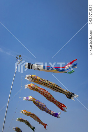 鯉魚旗飄揚在風中 142971923