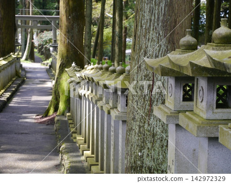 步行前往山宮淺間神社 步行前往山宮淺間神社 142972329