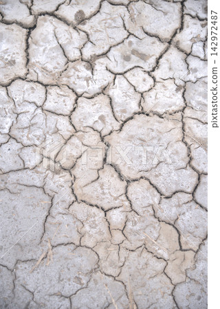 The parched, cracked earth reveals severe drought conditions and natural surface patterns; the arid terrain is riddled with deep fissures and desiccated soil. The parched, cracked earth reveals severe drought conditions and natural surface patterns; the arid terrain is riddled with deep fissures and desiccated soil. 142972487