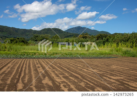 伊勢原市的寧靜景色;中心的山是大山。 伊勢原市的寧靜景色;中心的山是大山。 142973265