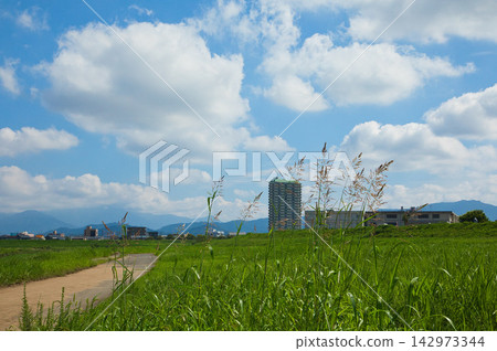 天空晴朗,秋天來了。 天空晴朗,秋天來了。 142973344