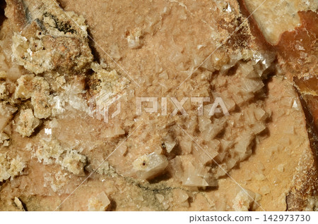 The image appears to show a cluster of brownish-orange rhombohedral or scalenohedral mineral crystals, which strongly resemble Calcite formations within a rock matrix. The image appears to show a cluster of brownish-orange rhombohedral or scalenohedral mineral crystals, which strongly resemble Calcite formations within a rock matrix. 142973730