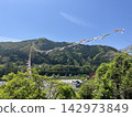 鯉魚旗在山中游動 142973849