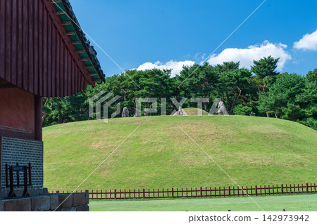 Scenic view of King Jungjong's royal tomb surrounded by pine trees and green lawn in Seonjeongneung, Seoul Scenic view of King Jungjong's royal tomb surrounded by pine trees and green lawn in Seonjeongneung, Seoul 142973942