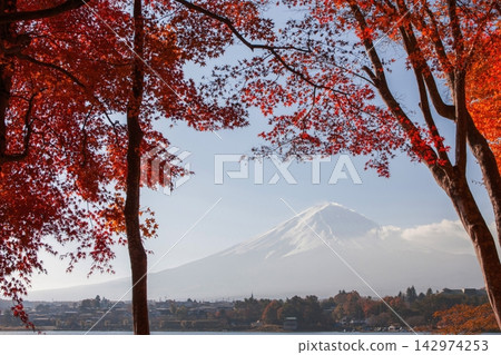透過秋葉眺望河口湖和富士山。 142974253