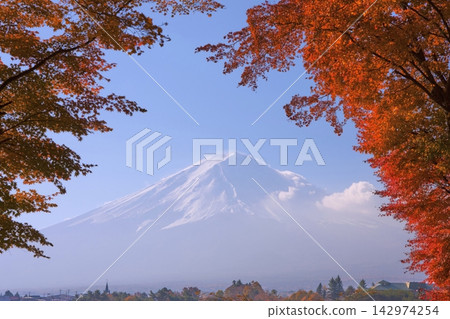 透過秋葉眺望河口湖和富士山。 142974254