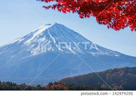 透過秋葉眺望河口湖和富士山。 透過秋葉眺望河口湖和富士山。 142974298