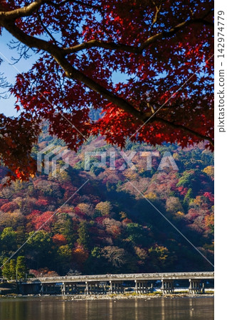 Togetsukyo Bridge in Arashiyama, Kyoto, ablaze with autumn colors. Togetsukyo Bridge in Arashiyama, Kyoto, ablaze with autumn colors. 142974779