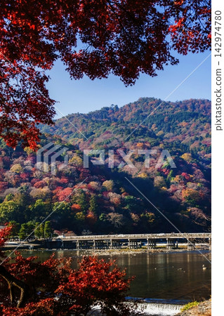 Togetsukyo Bridge in Arashiyama, Kyoto, ablaze with autumn colors. Togetsukyo Bridge in Arashiyama, Kyoto, ablaze with autumn colors. 142974780