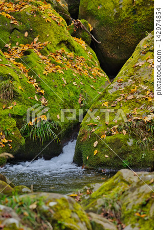 Autumn in Hananuki Valley (Ibaraki Prefecture) Autumn in Hananuki Valley (Ibaraki Prefecture) 142974854