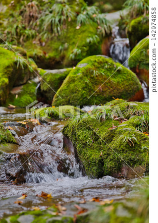 Autumn in Hananuki Valley (Ibaraki Prefecture) Autumn in Hananuki Valley (Ibaraki Prefecture) 142974858