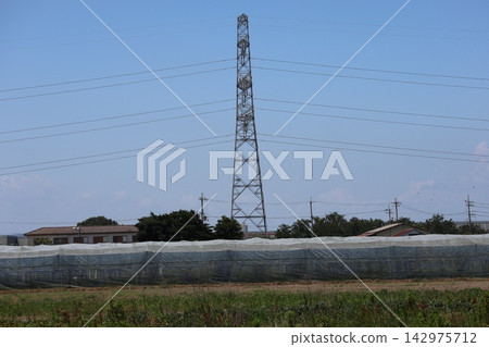 一幅城鎮風景畫,藍天白雲,輸電塔,電線,溫室所在的田野,綠樹和房子。 一幅城鎮風景畫,藍天白雲,輸電塔,電線,溫室所在的田野,綠樹和房子。 142975712