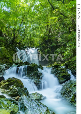 A waterfall cascading down a valley (Japan) A waterfall cascading down a valley (Japan) 142976121