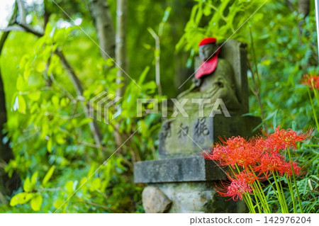 A Japanese garden enveloped in silence (Tokyo) A Japanese garden enveloped in silence (Tokyo) 142976204