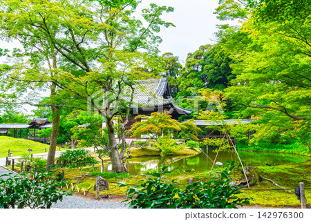 京都之夏:高台寺、開山堂、臥龍池 京都之夏:高台寺、開山堂、臥龍池 142976300