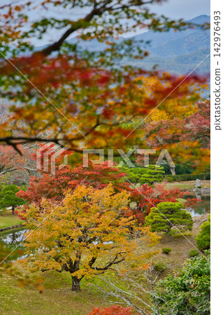 京都的秋天 / 修學院離宮 京都的秋天 / 修學院離宮 142976493