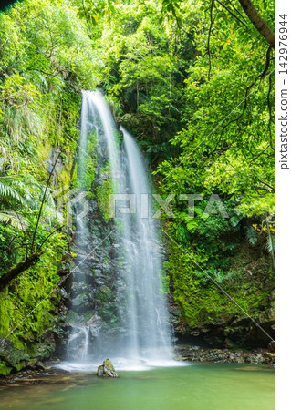 A waterfall cascading down a valley (Okinawa) A waterfall cascading down a valley (Okinawa) 142976944