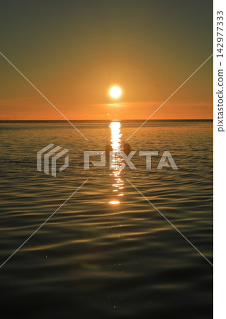 People snorkeling in the beautiful sunset over the sea off Sesoko Island in Okinawa. People snorkeling in the beautiful sunset over the sea off Sesoko Island in Okinawa. 142977333