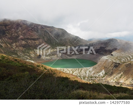 Zao ginkgo 142977580