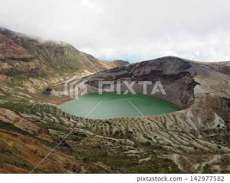 Zao ginkgo Zao ginkgo 142977582