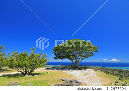 今歸仁城遺址大場庭院的美景,映襯著湛藍的天空。 今歸仁城遺址大場庭院的美景,映襯著湛藍的天空。 142977604