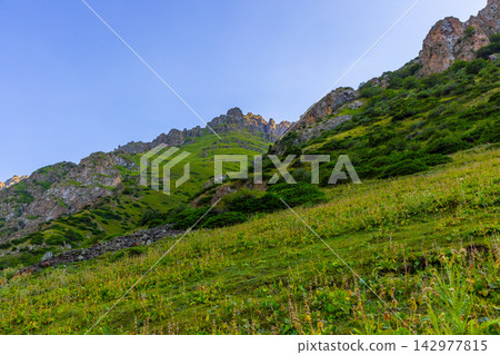Lush mountain slope with rocky peaks and wildflowers Lush mountain slope with rocky peaks and wildflowers 142977815
