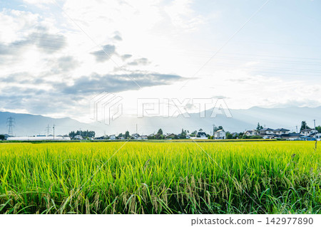 The rural landscape and mountain ranges of Shinshu as autumn arrives and the harvest season begins. The rural landscape and mountain ranges of Shinshu as autumn arrives and the harvest season begins. 142977890