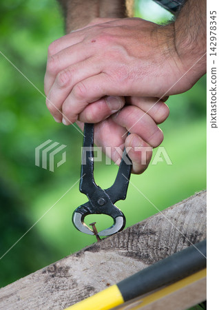 Hand Pulling Rusty Nail from Wood with Pliers Outdoors Hand Pulling Rusty Nail from Wood with Pliers Outdoors 142978345