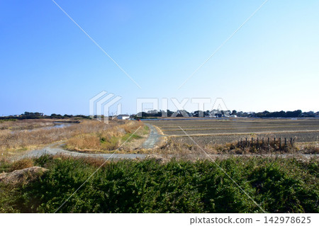 JR東日本常磐線沿途風景(2023年冬季) JR東日本常磐線沿途風景(2023年冬季) 142978625