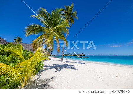 Inviting lush coconut palms powdery white shore vivid turquoise lagoon blue sky bright tropical island paradise coast. Perfect summer travel vacation island holiday. Exotic honeymoon inspire getaway 142979080