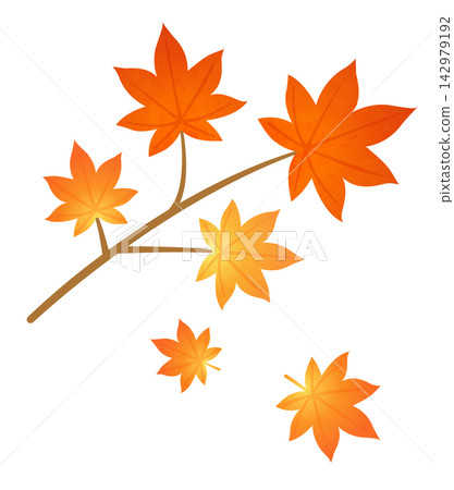 The branches of maple trees, their leaves turning red, signal the arrival of autumn. The branches of maple trees, their leaves turning red, signal the arrival of autumn. 142979192