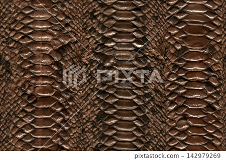 Seamless snake texture, python skin, crocodile texture, leather, animal skin. Seamless snake texture, python skin, crocodile texture, leather, animal skin. 142979269