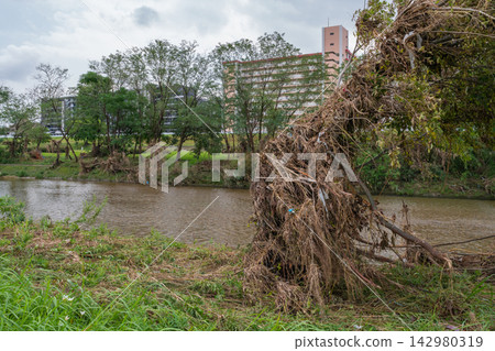 矢田川河留下了短期內破紀錄強降雨的痕跡(愛知縣名古屋市) 矢田川河留下了短期內破紀錄強降雨的痕跡(愛知縣名古屋市) 142980319