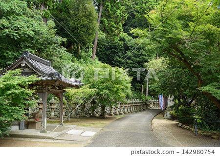 Ichibata Yakushi Temple: 108 lanterns along the approach to the temple Ichibata Yakushi Temple: 108 lanterns along the approach to the temple 142980754