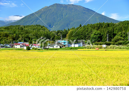 View towards Mt. Kurohime from Tomino, Shinano-machi, Nagano Prefecture (Shinano-machi, Nagano Prefecture) [2026.9] 142980758